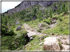 foto Passeggiata dal Col dei Balbi al Rifugio Coldai